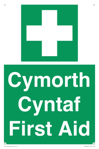 Cymorth Cyntaf First Aid in Welsh